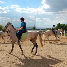 Campamento en ingles para niños con paseo a caballo