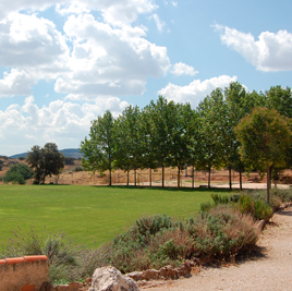 Campamentos de Verano en Inglés en Ciudad Real