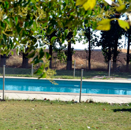 Campamentos de Verano en Inglés en Toledo