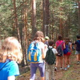 Campamento de verano en inglés cerca de Madrid