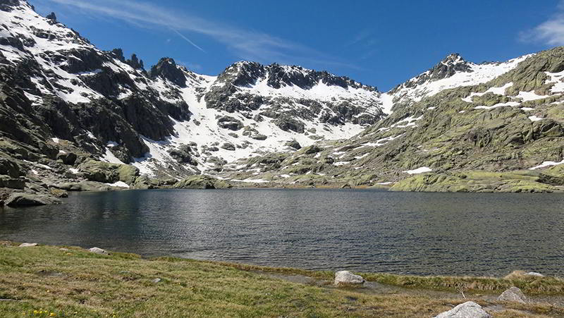 Campamentos de verano en la Naturaleza