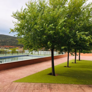 campamento de verano en ingles en Madrid con piscina